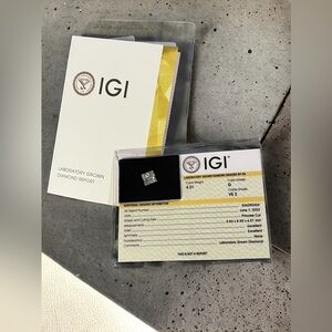 4.01 Carat Princess Cut Loose Diamond G Color • VS2 Clarity